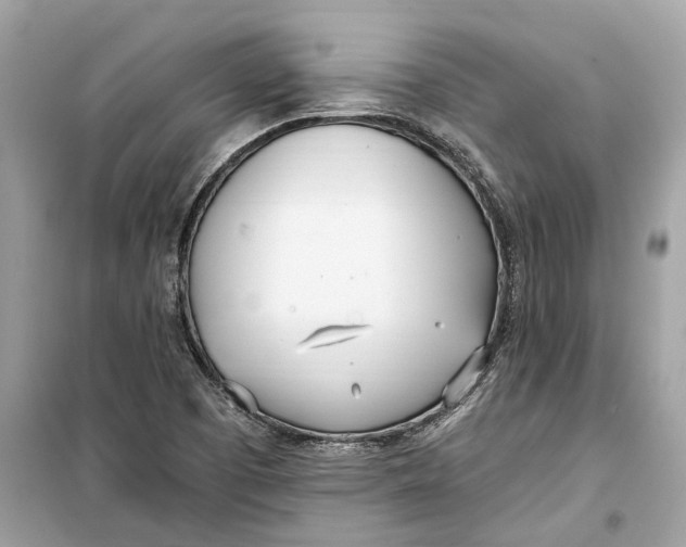 X0000099321457200805231414