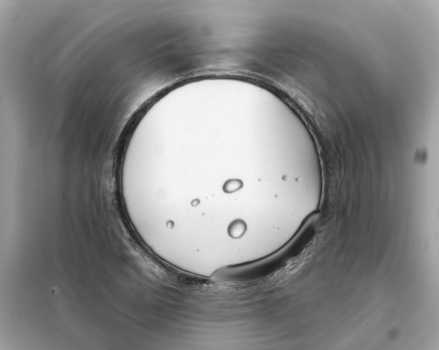 X0000099321458200805231414