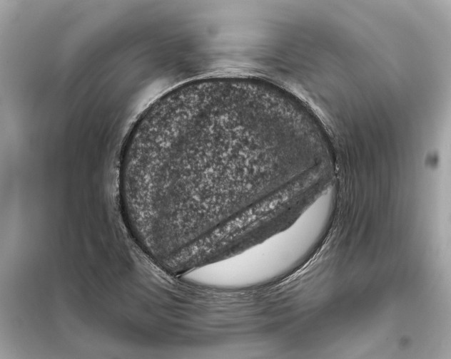 X0000099321459200805231414