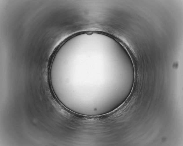 X0000099321460200805231414