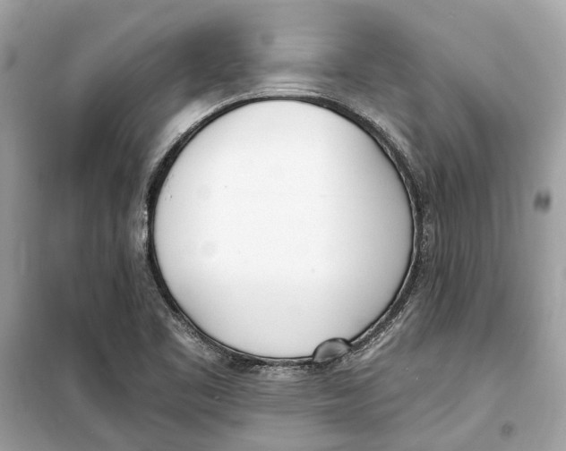 X0000099321461200805231414