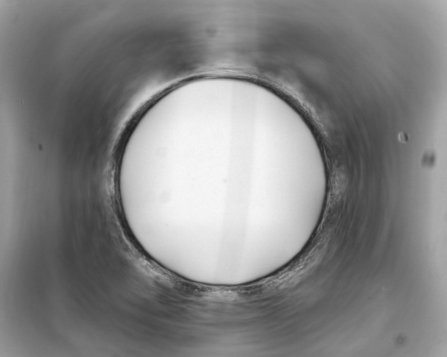 X0000099321462200805231414