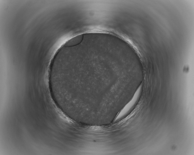 X0000099321463200805231414