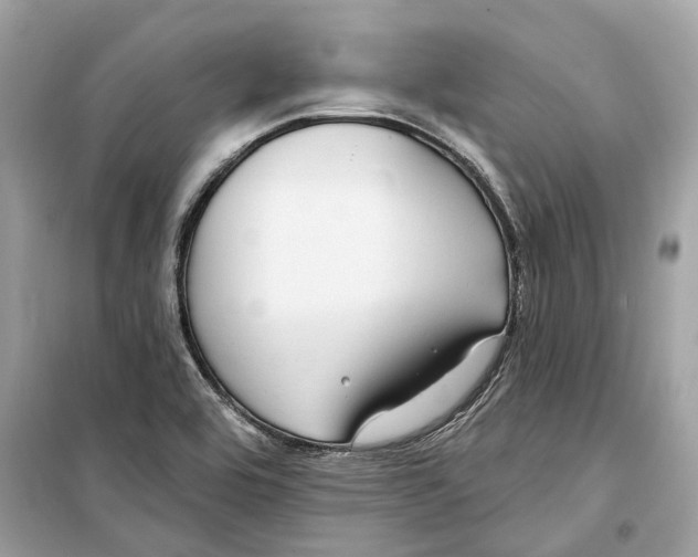 X0000099321464200805231414