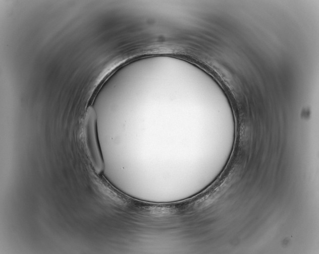 X0000099321465200805231414