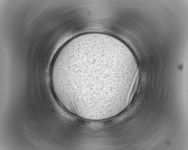 X0000099321466200805231414