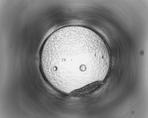 X0000099321467200805231414