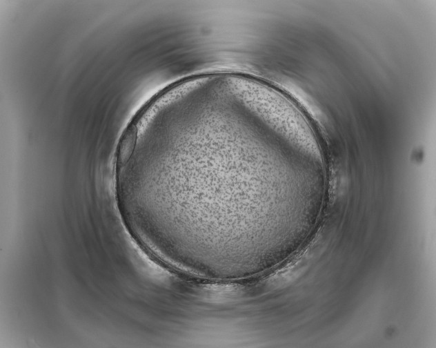 X0000099321468200805231414