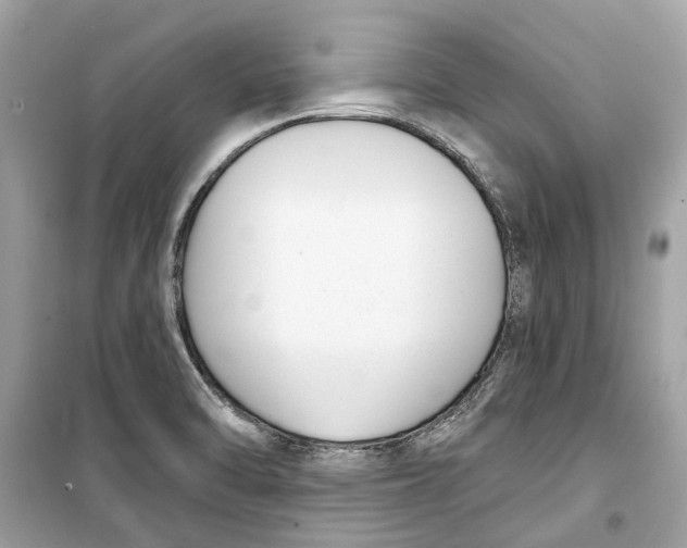 X0000099321470200805231414