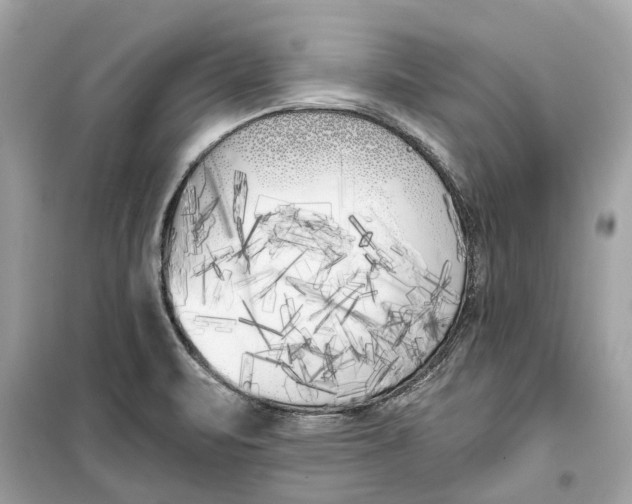 X0000099321471200805231414