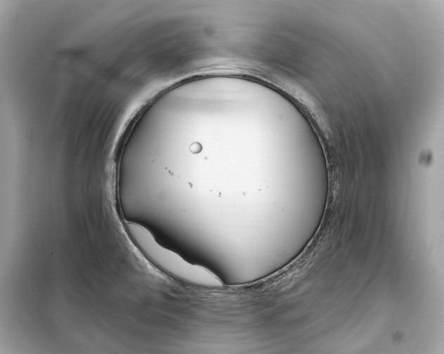 X0000099321472200805231414