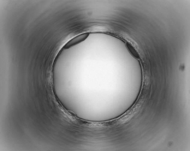 X0000099321473200805231414