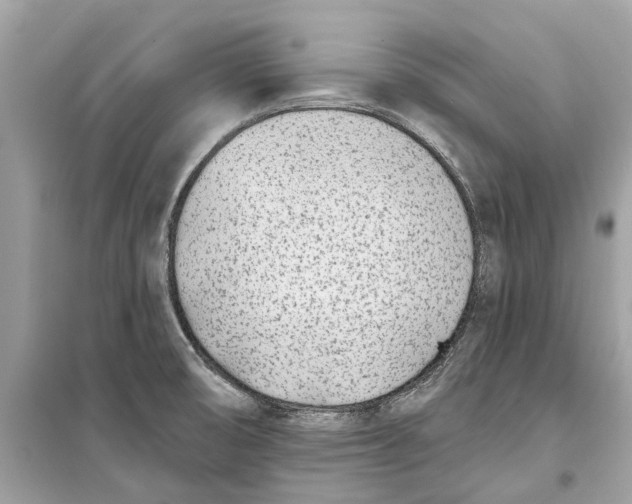 X0000099321474200805231414