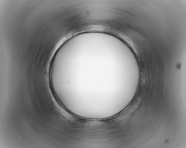 X0000099321475200805231414