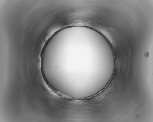 X0000099321476200805231414