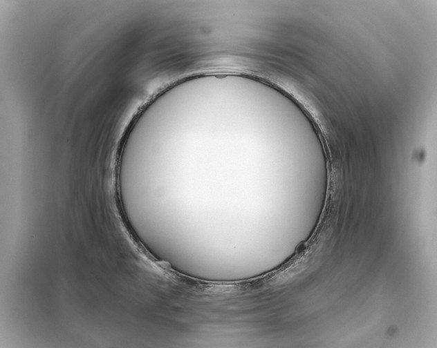 X0000099321477200805231414