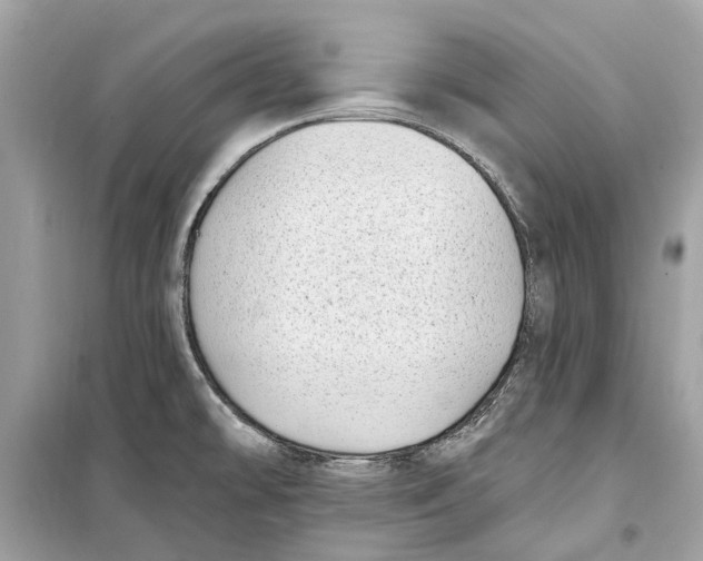 X0000099321478200805231414