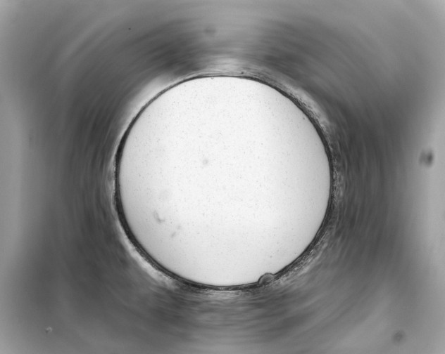 X0000099321479200805231414