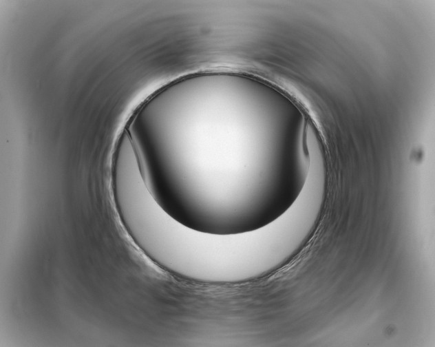 X0000099321480200805231414