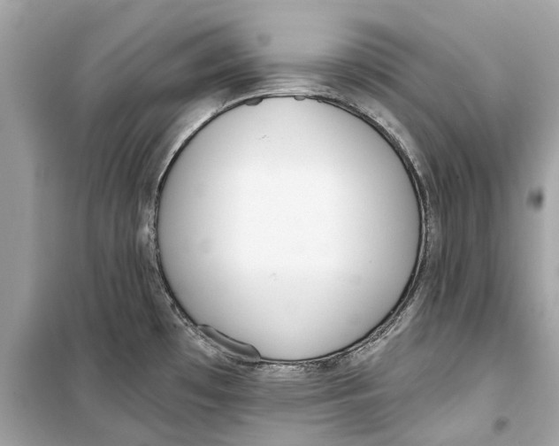 X0000099321481200805231414