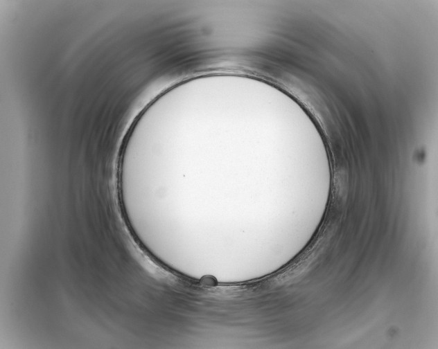 X0000099321482200805231414