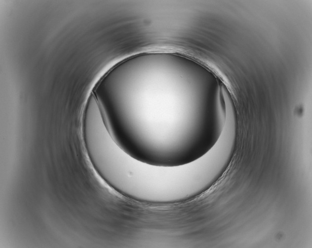 X0000099321484200805231414