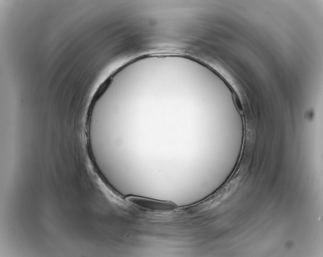 X0000099321485200805231414