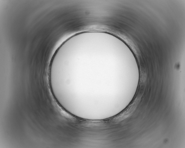 X0000099321486200805231414