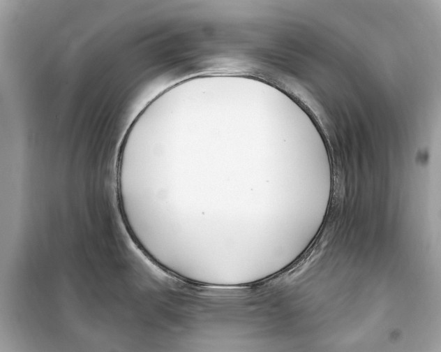 X0000099321487200805231414