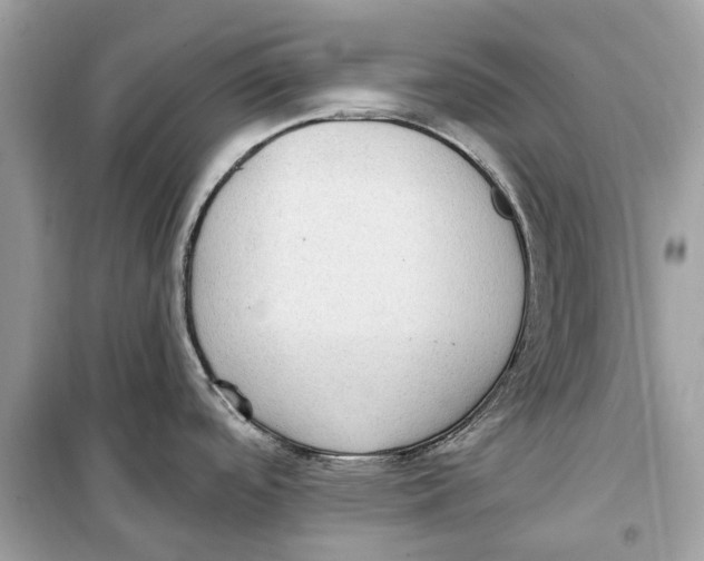 X0000099321488200805231414