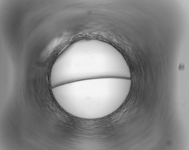 X0000099321489200805231413