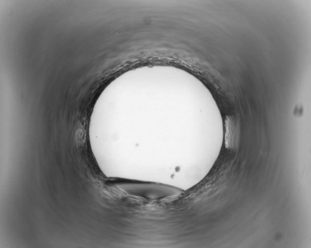 X0000099321491200805231413