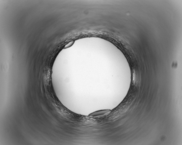 X0000099321492200805231413