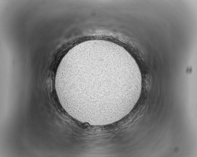 X0000099321493200805231413