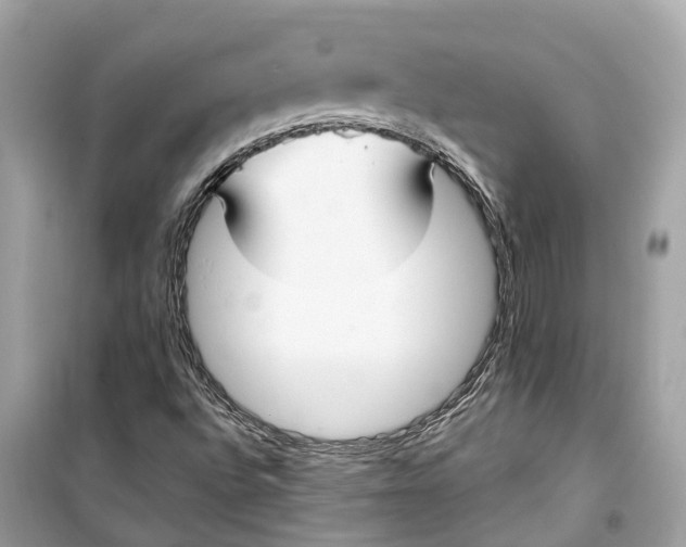 X0000099321496200805231413