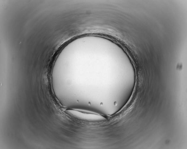 X0000099321497200805231413