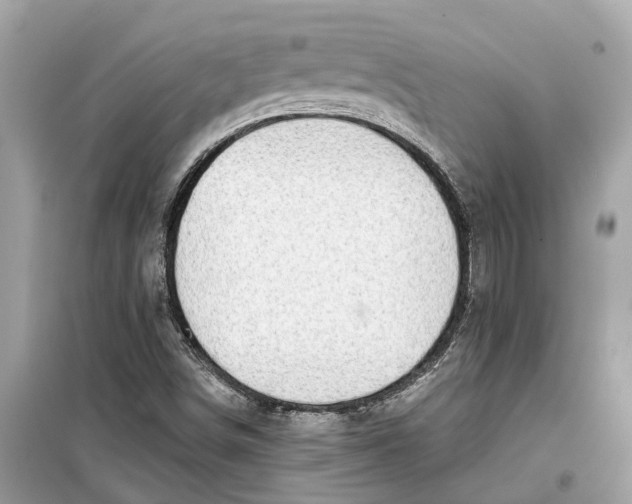 X0000099321498200805231413