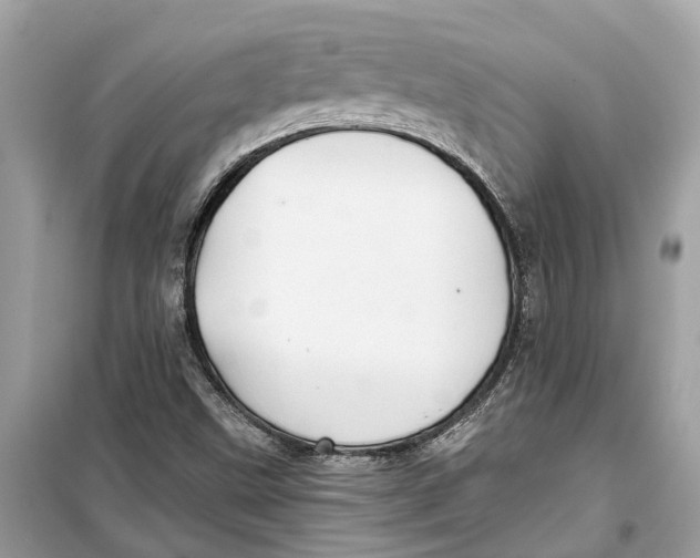 X0000099321499200805231413