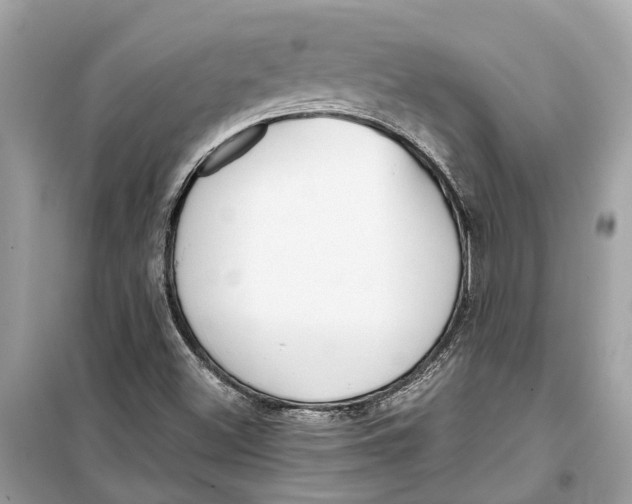 X0000099321500200805231413