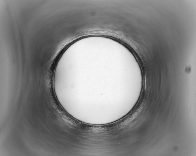 X0000099321501200805231413