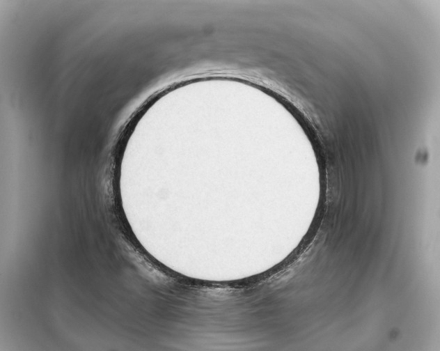 X0000099321502200805231413