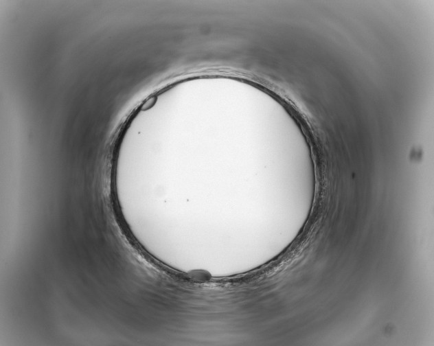 X0000099321504200805231413