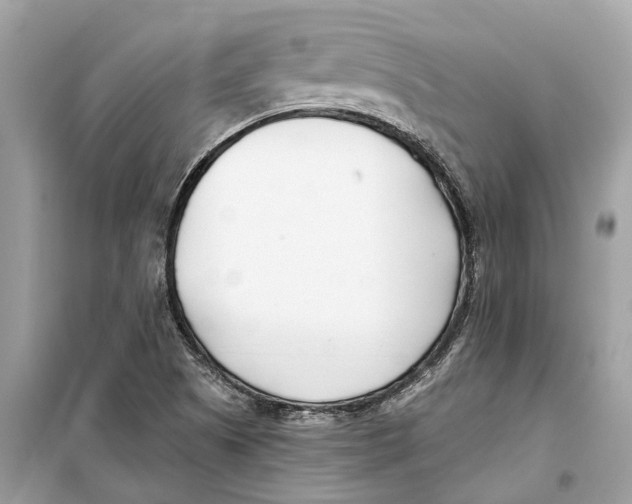 X0000099321505200805231413