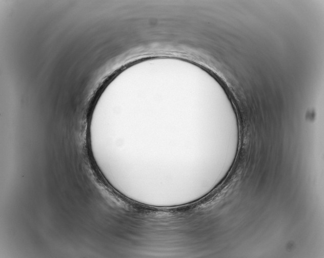 X0000099321507200805231413