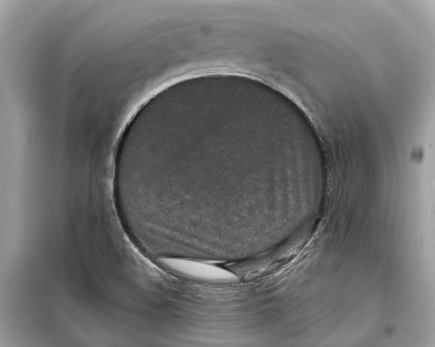 X0000099321508200805231413