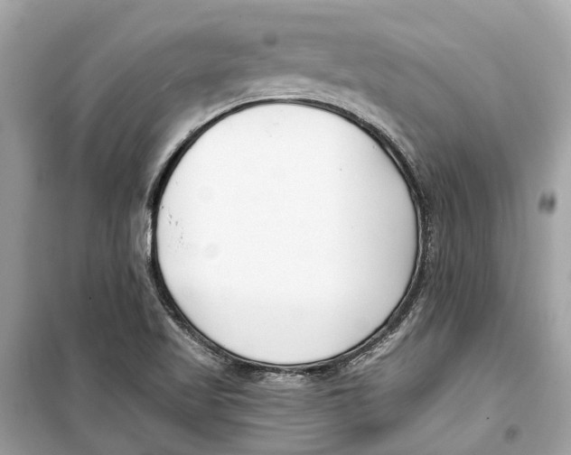 X0000099321509200805231413