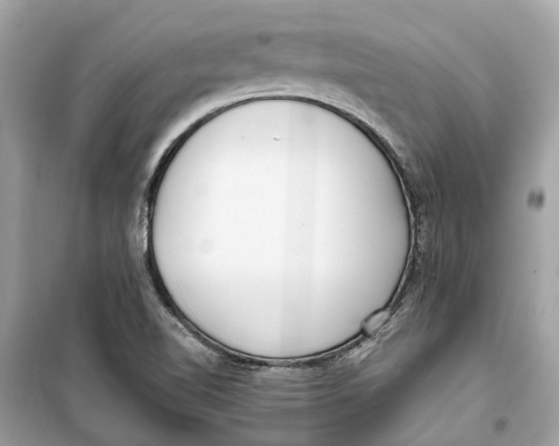 X0000099321510200805231413