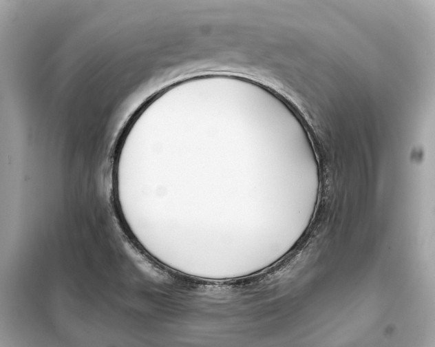 X0000099321511200805231413