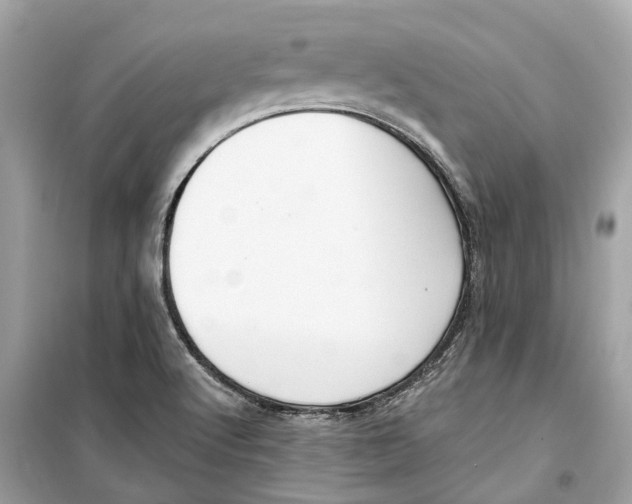 X0000099321512200805231413