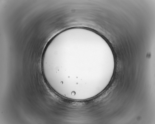 X0000099321513200805231413